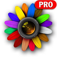fxfhoto.jpg