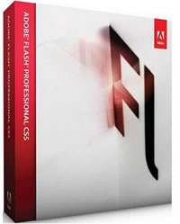 flashcs55.jpg