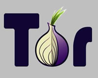 tor-brow.jpg